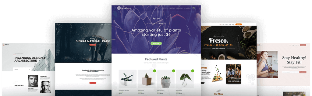 Top-Rated Website Design Services in Kenya 2025